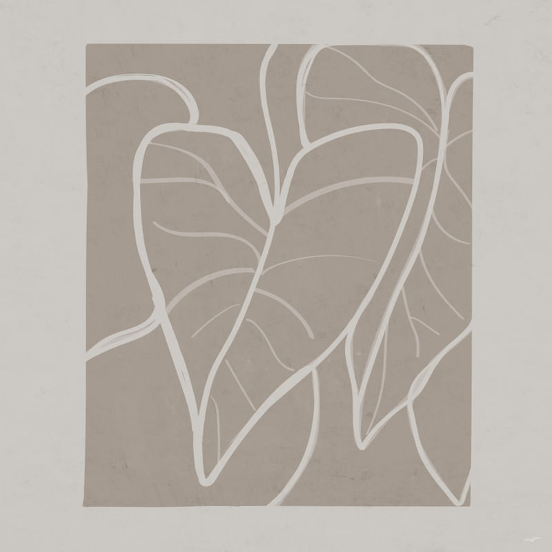 CONTOUR 25 Q