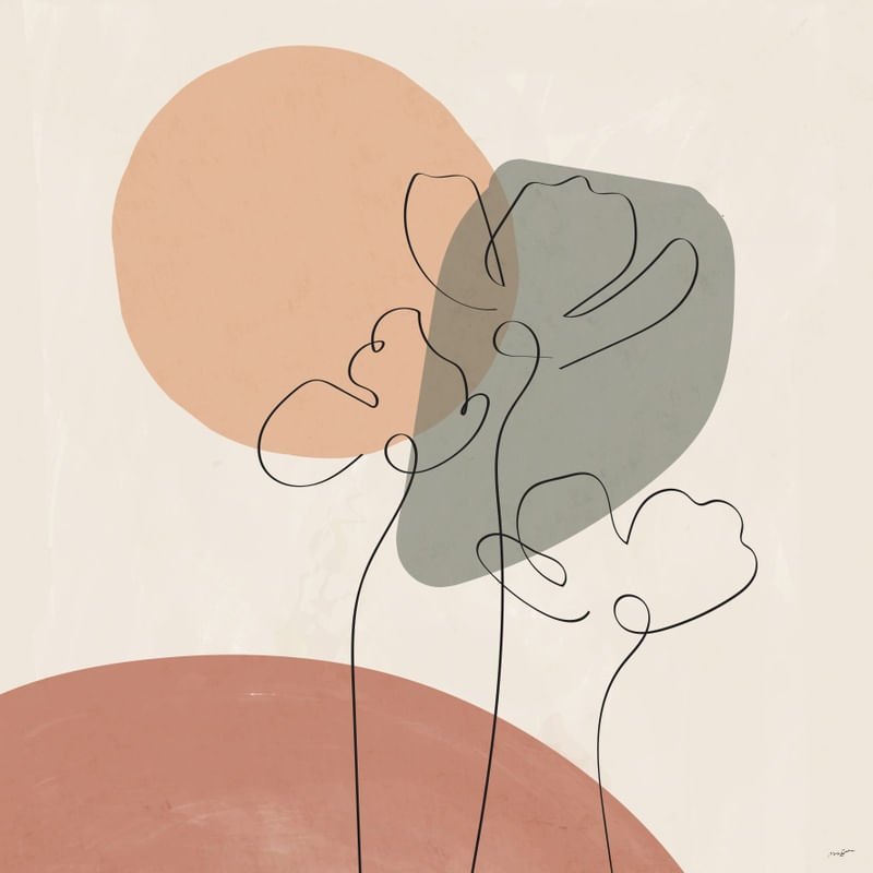 CONTOUR 29 Q