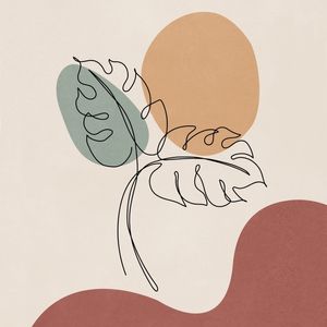 CONTOUR FOUR Q