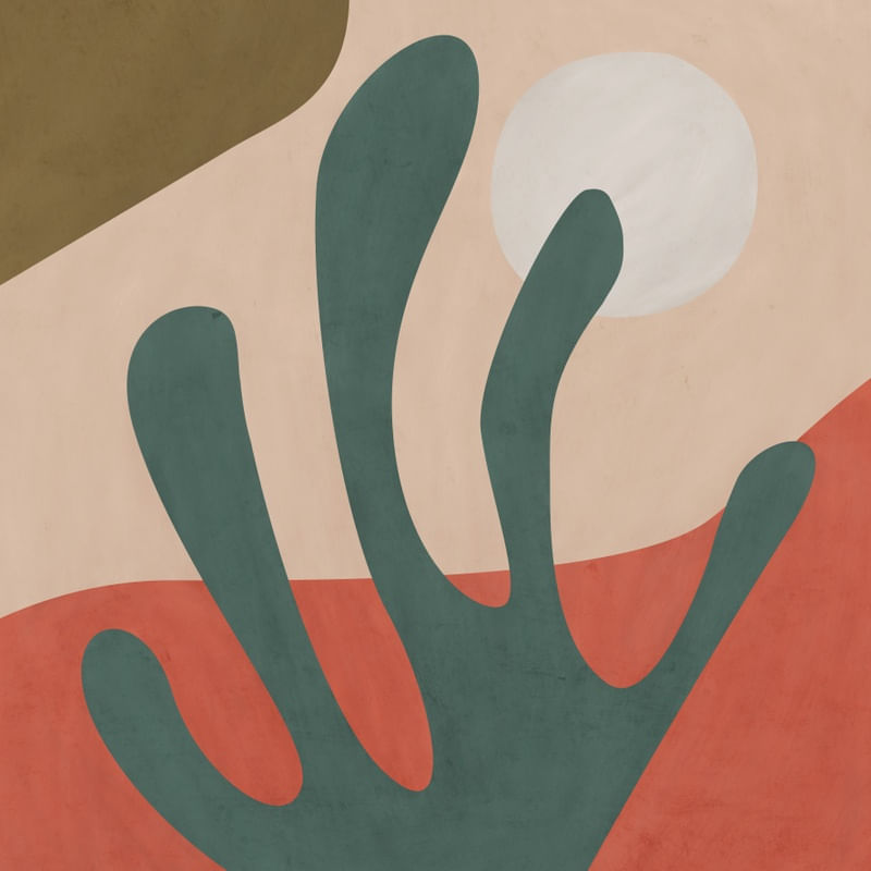 PRETTY SHAPES 1 Q