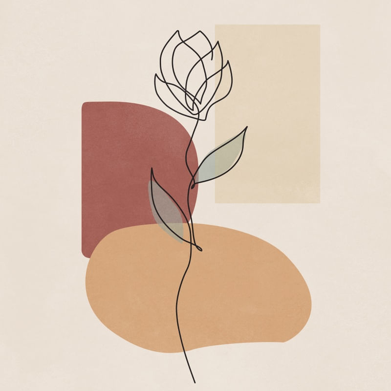 CONTOUR THREE Q