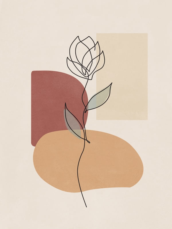 CONTOUR THREE