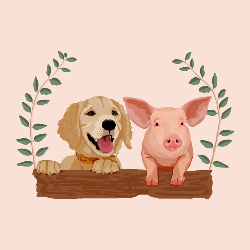 I LOVE ALL ANIMALS