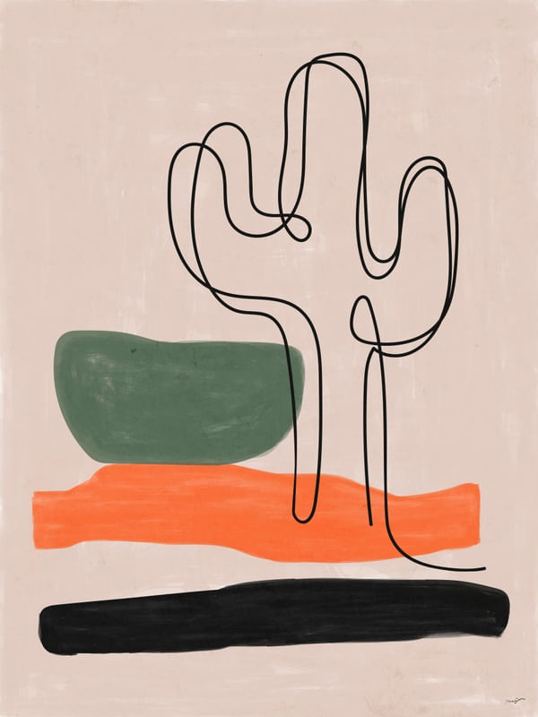 CONTOUR - CACTUS
