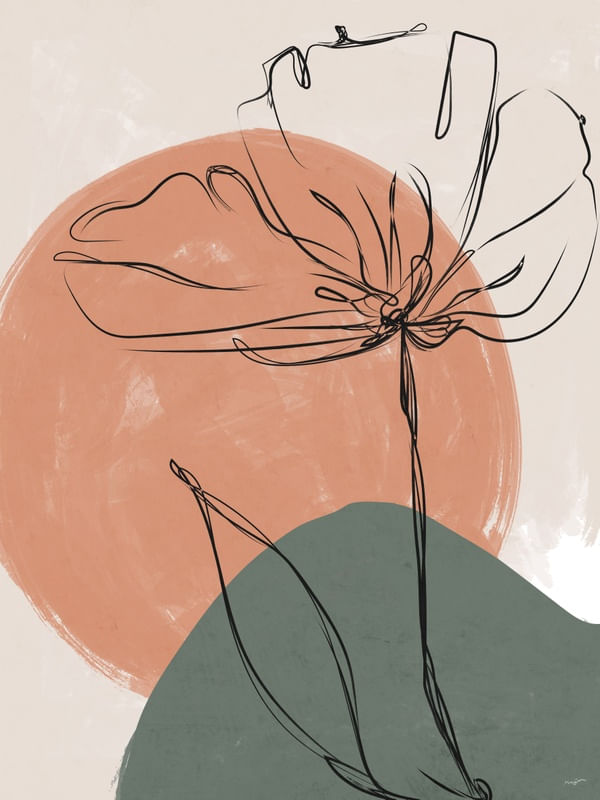 CONTOUR 33