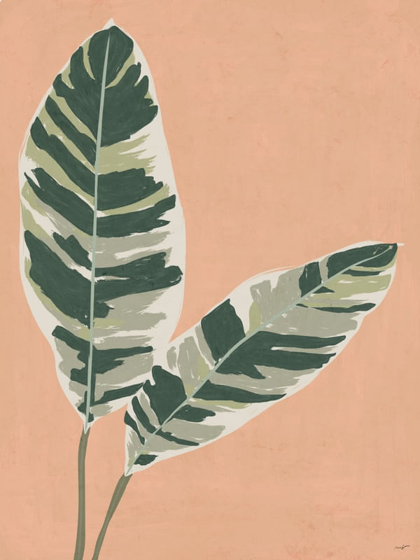 CONTOUR LEAVES
