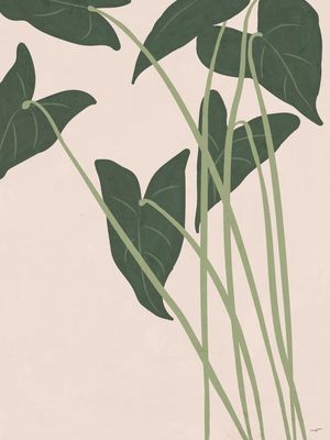 PLANT FIG