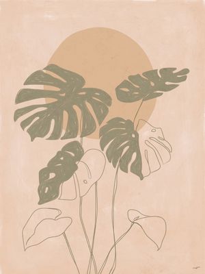 CONTOUR MONSTERA