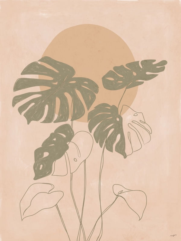 CONTOUR MONSTERA