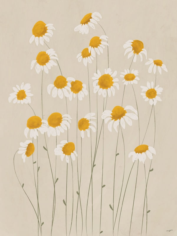 CONTOUR FLOWERS 3