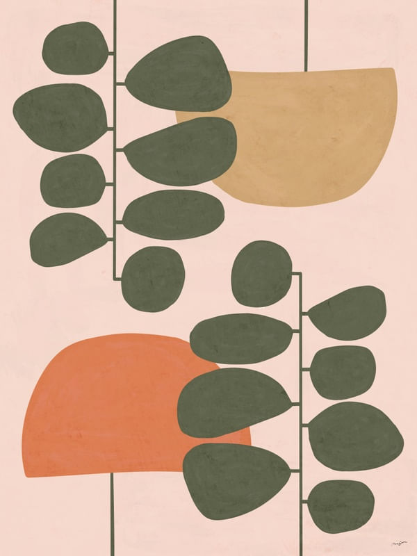 CONTOUR PLANT 3