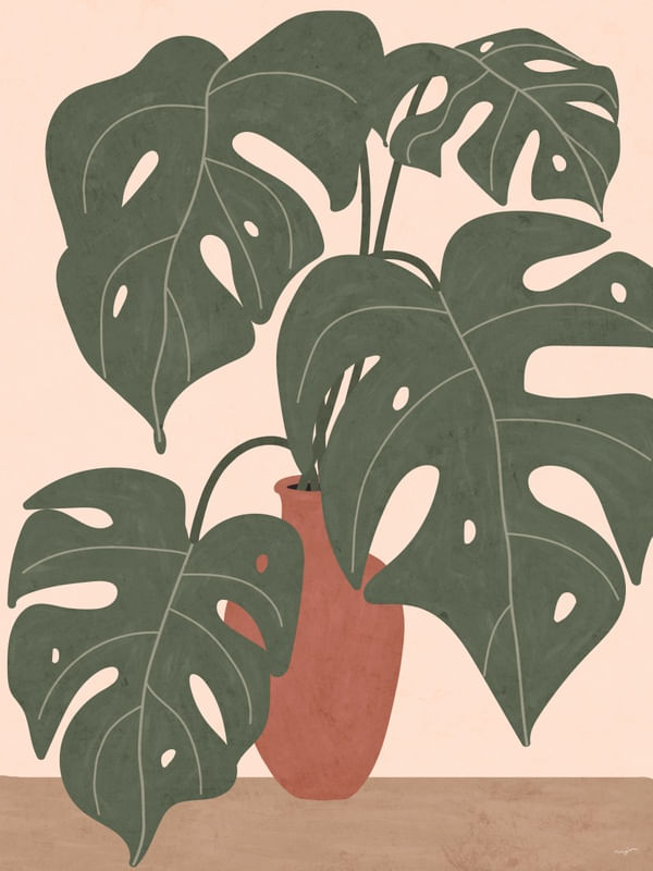 VASE MONSTERA