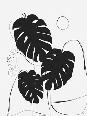 CONTOUR MONSTERA 2