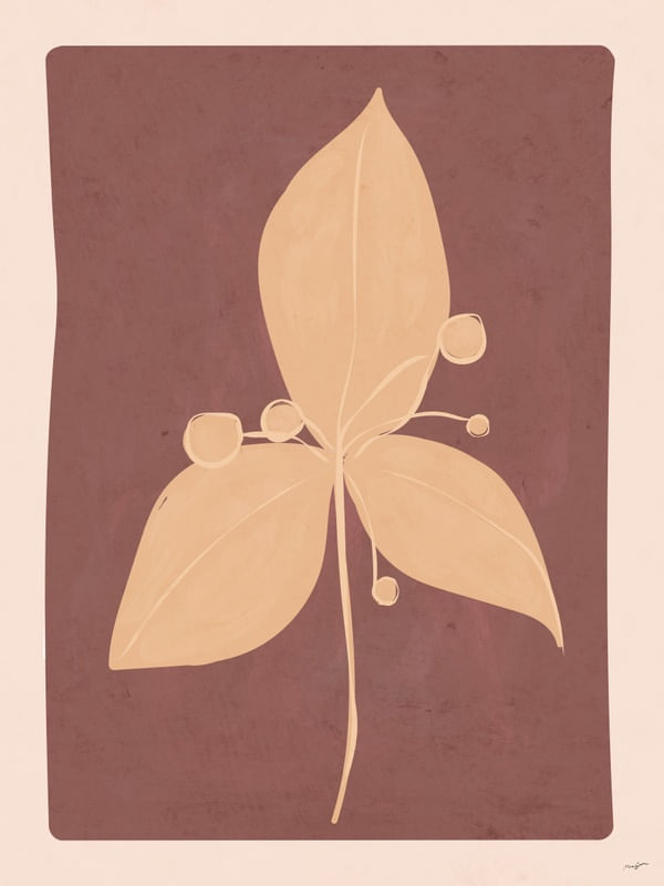 CONTOUR FLOWERS 5