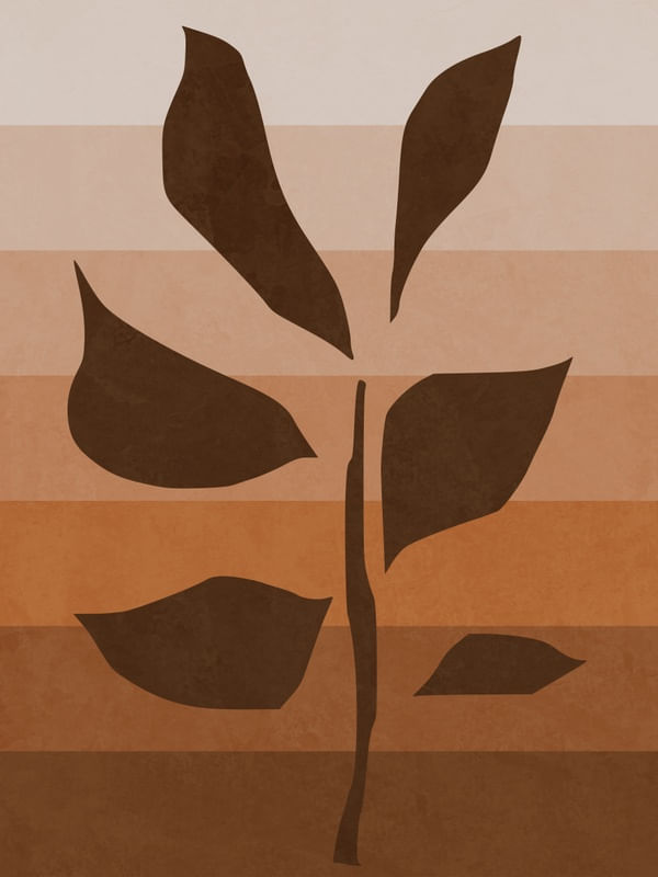 PLANTA LARANJA