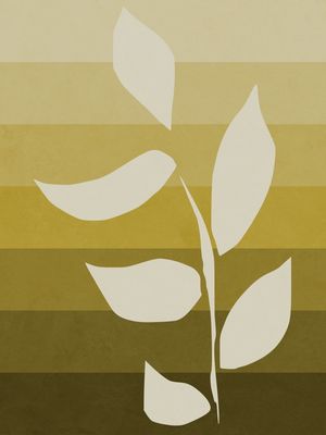 PLANTA DONA AMARELA