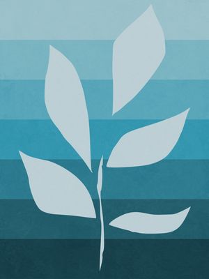 PLANTA DONA AZUL