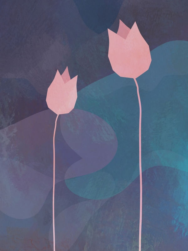 MINHAS TULIPAS ROSAS