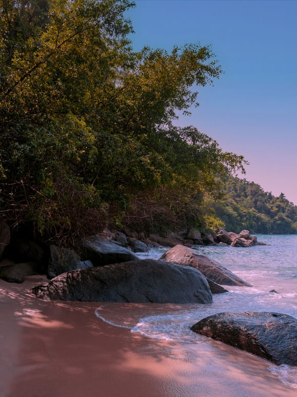 PARADISE 6