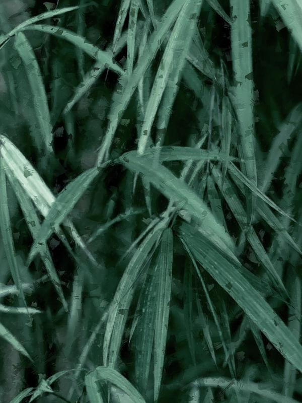 MINIMAL FOLIAGE