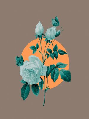 LA FLOR AZUL