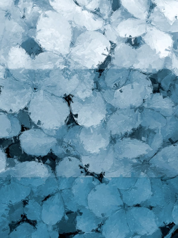 O SEGREDO DA FLOR AZUL