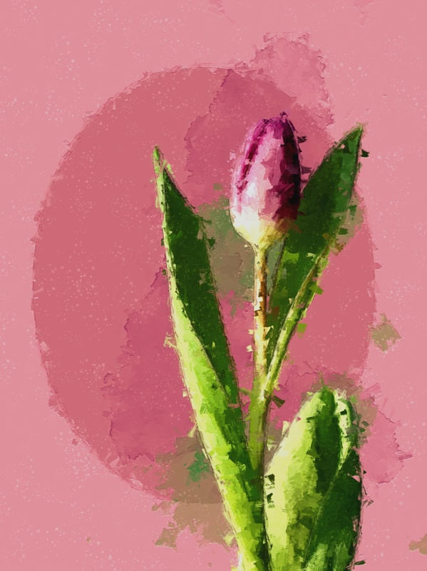 SIMPLES FLOR IV