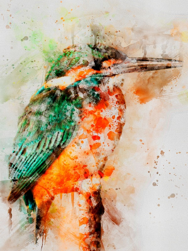 PÁSSARO EM AQUARELA