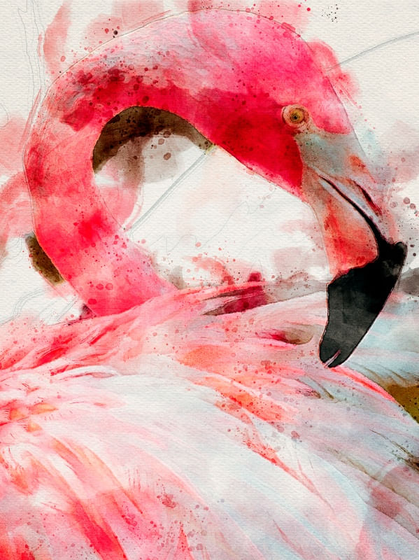 FLAMINGO ROSA EM AQUARELA