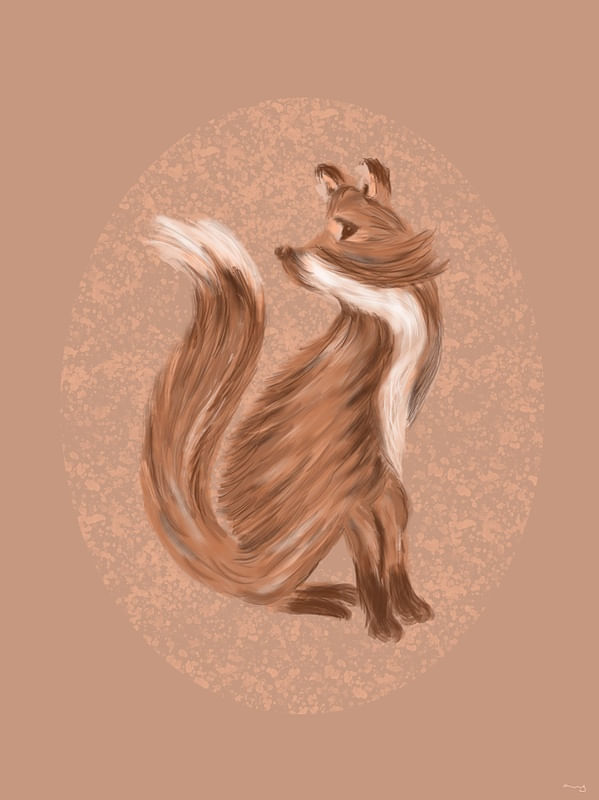 DREAMY FOX