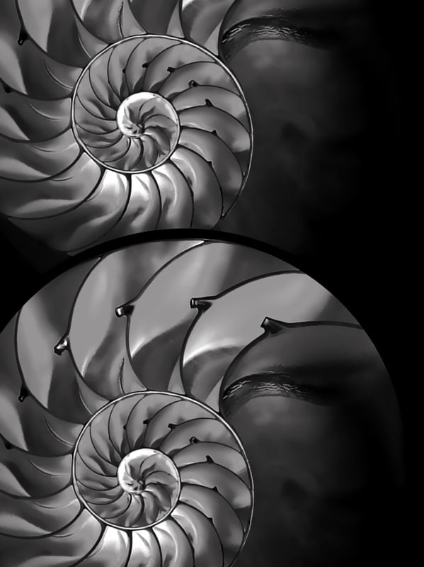 SÉRIE NAUTILUS I