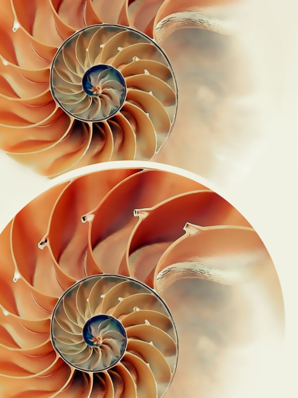 SÉRIE NAUTILUS II