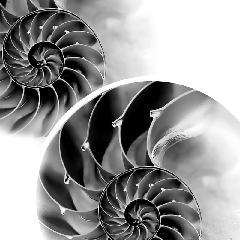 SÉRIE NAUTILUS IV