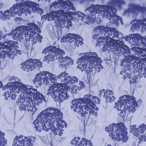 JARDIM - VERY PERI