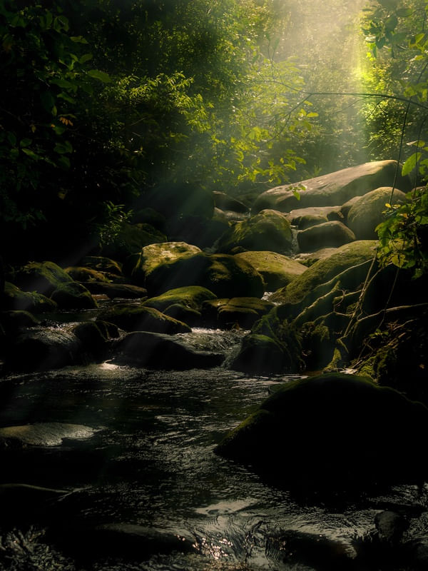 CACHOEIRA DOS CODÓS