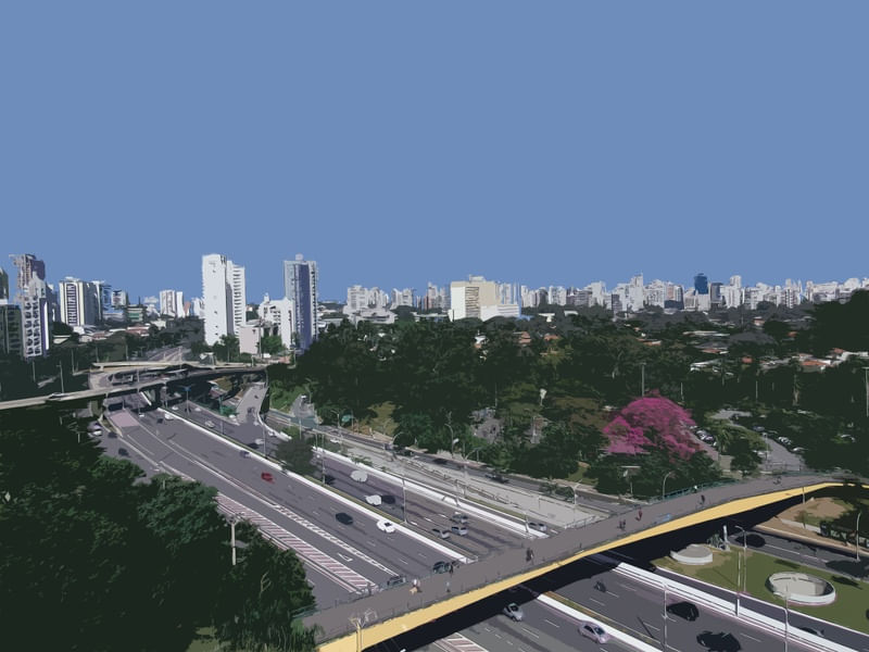 VEGETAÇÃO URBANA