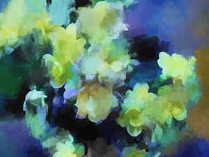 FLEURS SAUVAGES 2