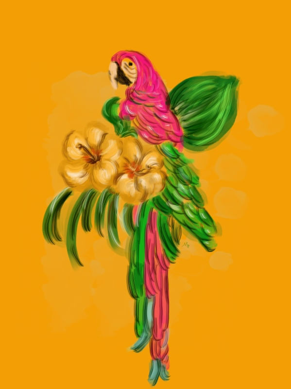 ARA ARARAUNA