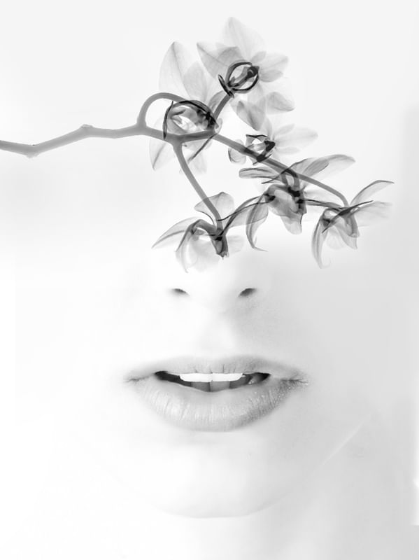 ORCHID EYES II