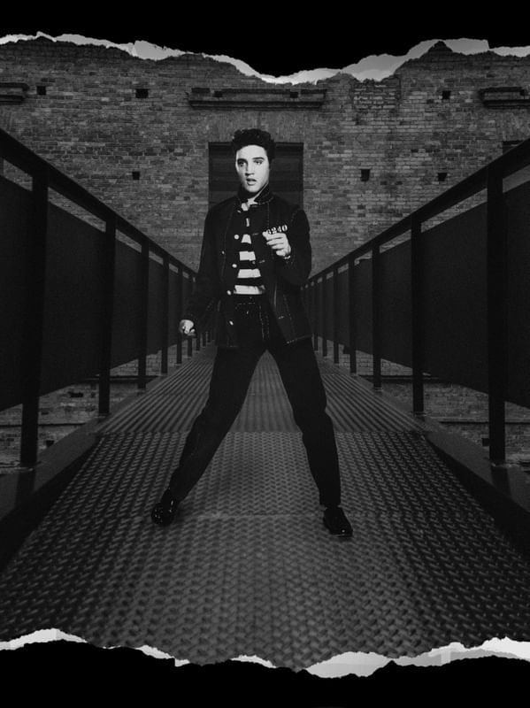 JAILHOUSE ROCK - PINACOTECA