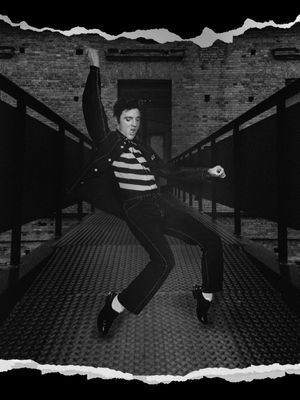 JAILHOUSE ROCK - PINACOTECA II