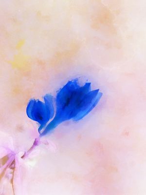 ABSTRATO PRIMAVERA 2
