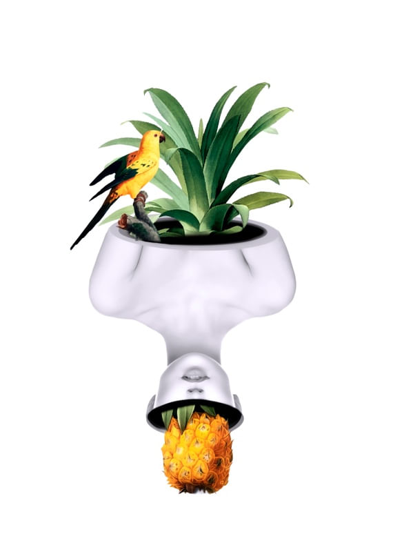 BIRD AND PINEAPPLE