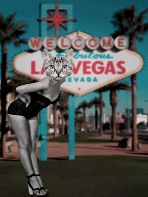 CATWOMAN IN VEGAS