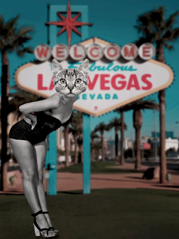 CATWOMAN IN VEGAS