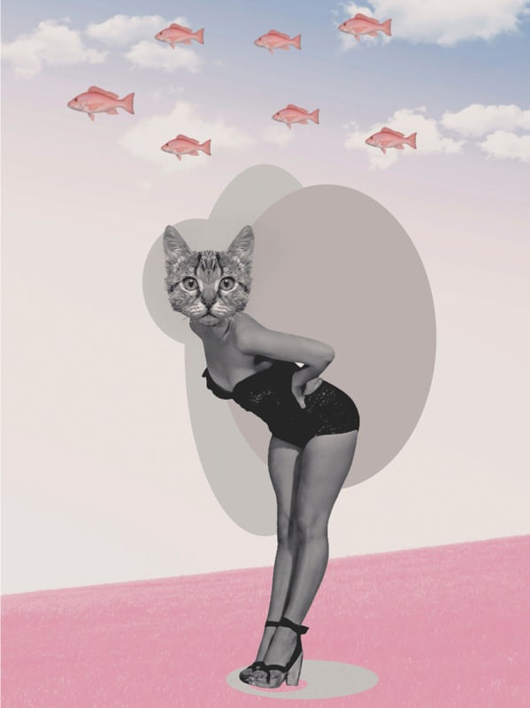 CATWOMAN, FISH