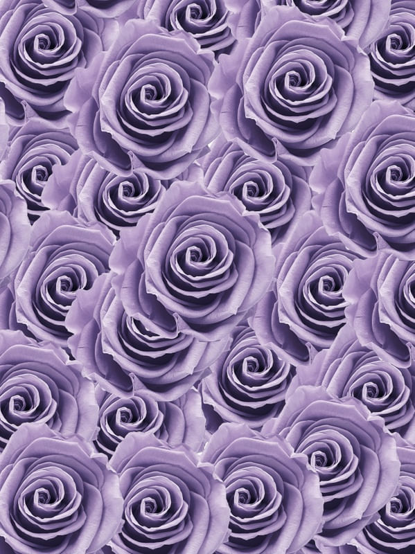 ROSAS - VERY PERI