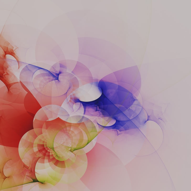 FLEUR ARC-EN-CIEL 2