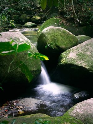 ECO - OBRA 10