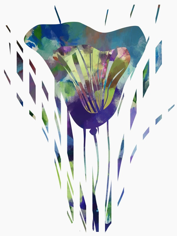 TULIPA MÁGICA 2
